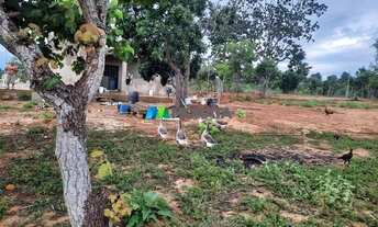 Imagem 7: FELIXLâNDIA - Sítio - Condomínio Lagoa Azul