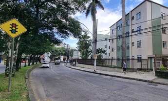 Imagem 2: Cascatinha, 2 quartos, garagem, todo reformado, um lance de escadas