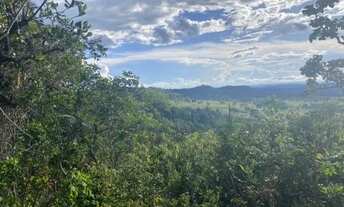 Imagem 4: Terrenos de 5mil m2