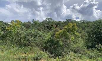 Imagem 4: Chácara 1000m², R$35mil, Energia, Arborizada, 600m Rod, 4km Aragoiânia