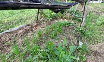 Imagem 5: CASA EM TERRENO RURAL COM FIBRA ÓTICA E POÇO ARTESIANO EM SANTO ANTÔNIO DA PATRULHA