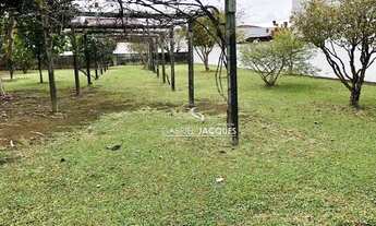 Imagem 7: Terreno para alugar, 1.153,64 m² por R$ 3.800/mês - Centro - Palhoça/SC