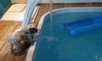 Imagem 4: Casa temporada - jaua