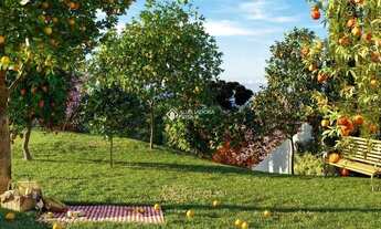 Imagem 3: CANELA - Apartamento Padrão - Centro