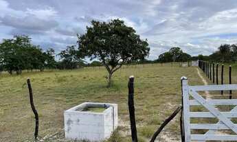 Imagem 2: Vendo sítio Chácara com venda por R$220.000