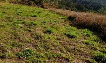 Imagem 4: Lote/Terreno para venda possui 500 metros quadrados em Centro - Cotia - SP