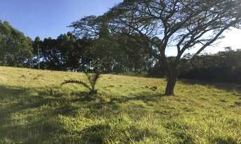 Imagem 5: Terreno 2 Hectares