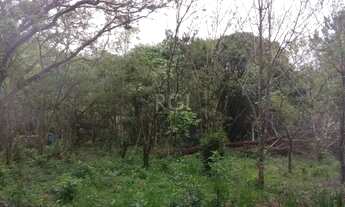 Imagem 5: Area para Venda - 0m², 0 dormitórios, Belém Velho