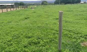 Imagem 3: Fazenda para Venda em Divinópolis de Goiás