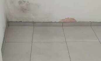 Imagem 6: Casa para Locação em São Paulo, Jardim dos Ipês, 2 dormitórios, 1 suíte, 1 banheiro