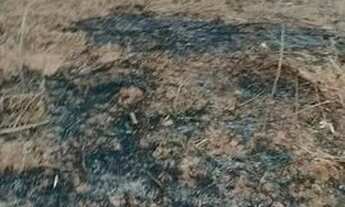 Imagem 2: Vendo lote em Roça Grande, Sabará