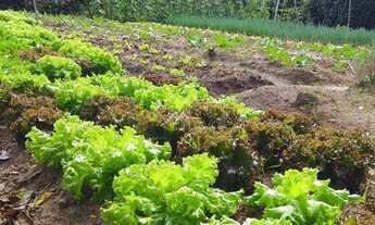 Imagem 3: Terreno à venda, 1906 m² por R$ 652.000 - Parque Mirante Do Vale - Jacareí/SP