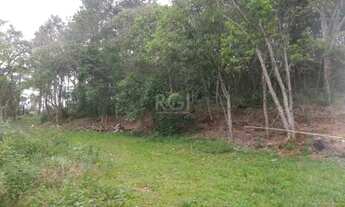 Imagem 3: Area para Venda - 0m², 0 dormitórios, Belém Velho