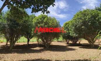 Imagem 5: Rural Fazenda, Sítio e Chácara em Goncalves