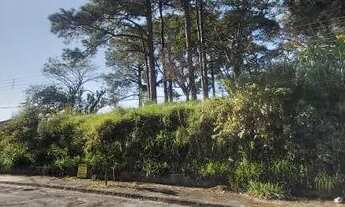 Imagem 3: Lote/Terreno para venda com 250 metros quadrados em Jardim Vista Verde - Jacareí - SP