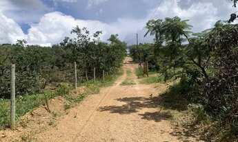 Imagem 2: Chácara 1000m², R$35mil, Energia, Arborizada, 600m Rod, 4km Aragoiânia