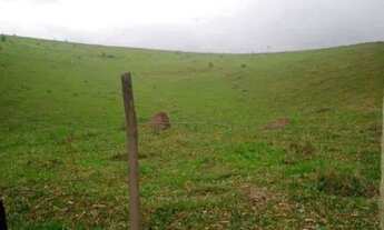 Imagem 3: 96 alqueires Tremembé sp