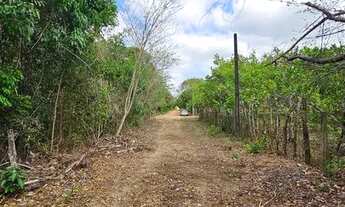 Imagem: VENDO 20 hectares, TERRENO NA BR343, ENTRE
