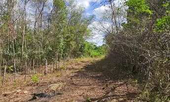 Imagem 5: VENDO 20 hectares, TERRENO NA BR343, ENTRE TERESINA/ALTOS