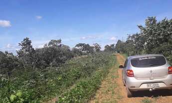 Imagem 5: Chácara de 20 Hectares na beira da BR-130 no capão da onça