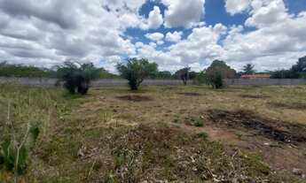 Imagem 6: Vendo terreno 1500 MT quadrado (passa de meia tarefa