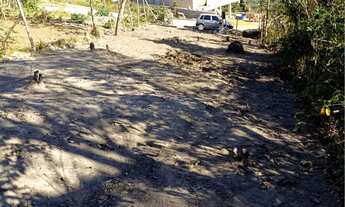 Imagem: Lote marmeleiro