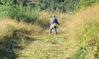 Imagem 4: Sítio em Estrada da Serra Grande - Serra Grande Italiana - Gramado/RS