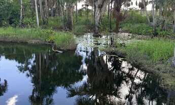 Imagem 6: Chácara com banho, sem benfeitorias, a 30 minutos de Boa Vista.