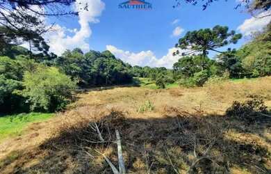 Imagem 5: Terreno Centro Carlos Barbosa