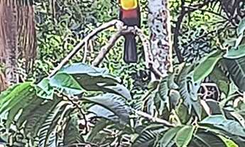 Imagem 6: Casa/pousada/hostel em Lagoa da Conceição