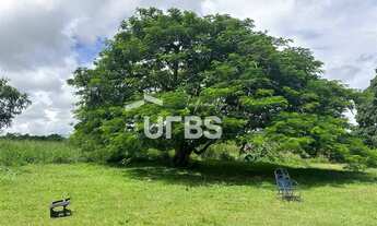 Imagem 4: CHACARA EM CONDOMÍNIO NO MUNICÍPIO DE GUAPÓ