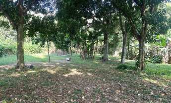 Imagem 2: Mini sítio a venda com 3000 metros quadrados em Guaratiba - Rio de Janeiro - RJ