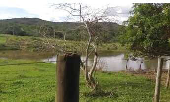 Imagem 3: Fazenda a venda em Ipameri - Goiás!!!