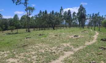 Imagem 5: Sitio a venda em São Vicente de paula - Araruama - RJ