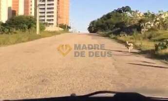 Imagem 4: Excelente Terreno nas Dunas