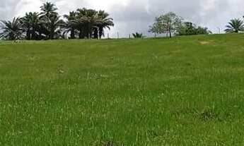 Imagem 2: Vendo maravilhosa Fazendinha em jaguaripe