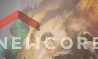 Imagem 6: Apartamento em Estrada do Elenco - Jardim Dona Meri - Guarulhos/SP