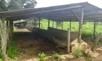 Imagem 6: Fazenda municipio FecaL, Brasilia-DF