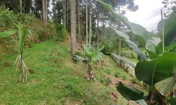 Imagem 5: Terreno à Venda Campina Grande do Sul