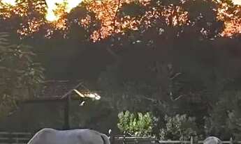 Imagem 4: Sítio Br 174 Km 23