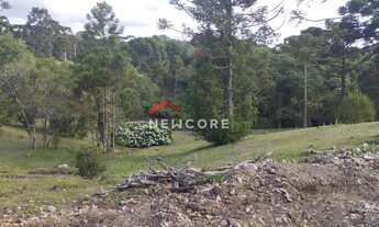 Imagem 7: Lote em Rua Leopoldo Stahnke - São Bernardo - São Francisco de Paula/RS