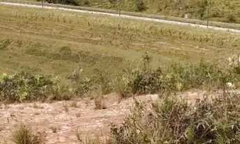 Imagem 5: AREA - JARDIM PINHEIRINHO - SP