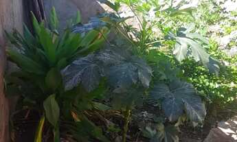 Imagem 7: CASA - BAIRRO RECANTO DOS PÁSSAROS - CERQUEIRA CESAR - SP