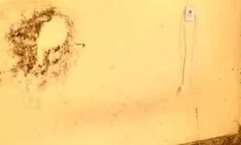 Imagem 5: Apartamento ótima localização