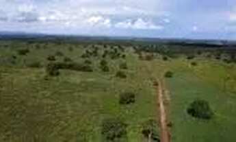 Imagem 4: Fazenda c/ 1.226he c/ 920he abertos/juquirado, dupla aptidão, Jangada-MT