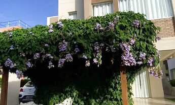 Imagem: Condomínio Fragatta 27366