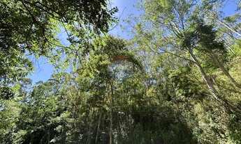 Imagem 3: Lote 17 à venda, 875m² por R$ 165.000,00 - Parque São Clemente - Nova Friburgo/RJ