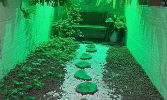 Imagem 5: Casa na praia de Tamandaré