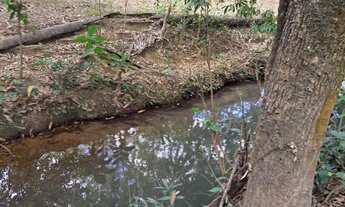 Imagem 5: Terrenos 20.000m2 em BALDIM