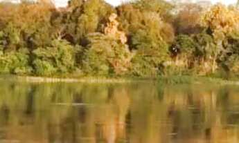 Imagem 6: Lote na beira do Rio São Francisco (condomínio